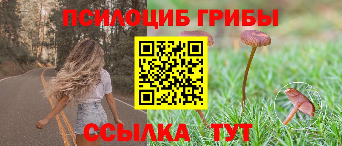 Галлюциногенные грибы MAGIC MUSHROOMS Кострома