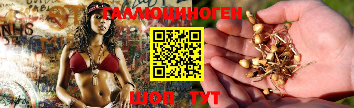 Галлюциногенные грибы ЛСД  Вход с VPN  Кострома 